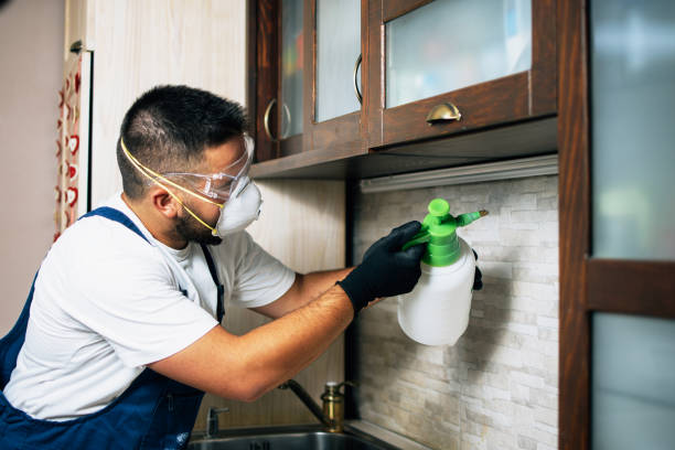 Best Pest Control for Homes  in Gibbsboro, NJ