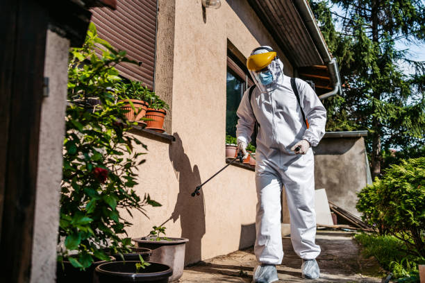 Reliable Gibbsboro, NJ Pest Control Solutions
