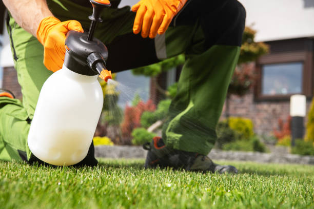 Insect Control in Gibbsboro, NJ