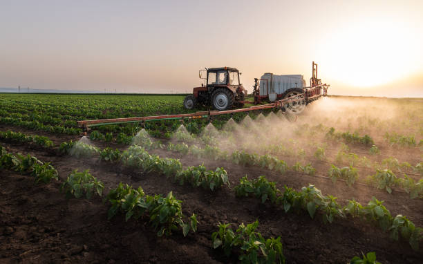 Professional Pest Control in Gibbsboro, NJ