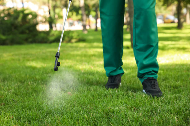 Best Wasp Removal Services  in Gibbsboro, NJ