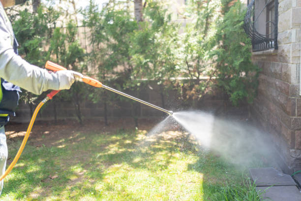 Best Rat Extermination Near Me  in Gibbsboro, NJ