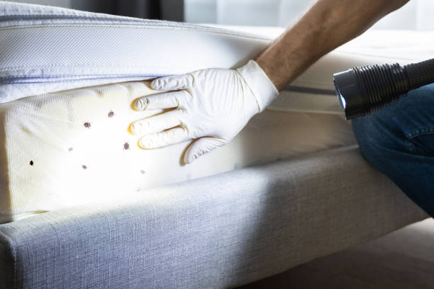Best Residential Pest Control  in Gibbsboro, NJ