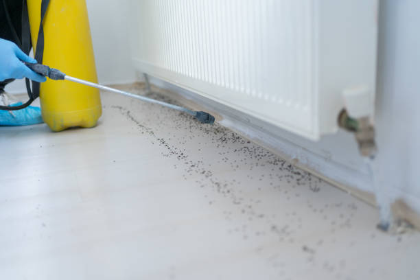 Best Pest Control Near Me in Gibbsboro, NJ