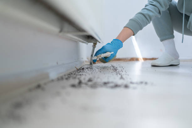 Best Commercial Pest Control Services  in Gibbsboro, NJ