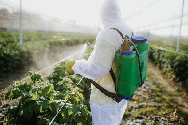 Best Pest Removal Services  in Gibbsboro, NJ